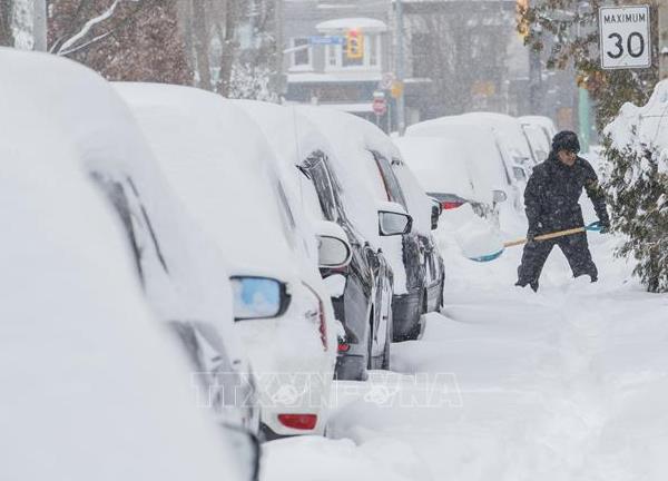 Canada: Bão tuyết bao trùm miền Đông, nhiều trường học và công sở phải đóng cửa