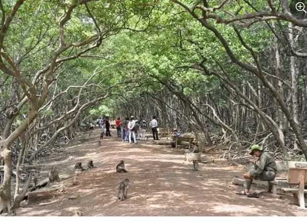 Khám phá đảo Rều Quảng Ninh