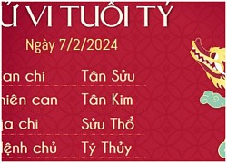 Tử vi vui 12 con giáp thứ 4 ngày 7/2/2024: Nên mua sắm áo dài loại nào để đi chơi Tết cho 12 con giáp nữ