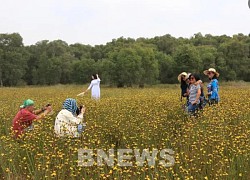 Đến Đồng Tháp ngắm 'Bình minh Tràm chim'