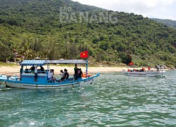 Độc đáo tour lặn ngắm san hô ở bán đảo Sơn Trà