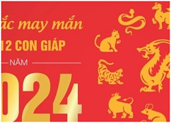 Màu sắc may mắn của 12 con giáp ngày đầu năm mới Giáp Thìn 2024