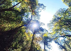 Mùa xuân trekking Nam Kang Ho Tao