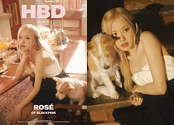 Rosé &#8220;đánh úp&#8221; fan ngay ngày sinh nhật, có động thái &#8220;đáng ngờ&#8221; về dự định mới