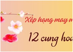 Tử vi thứ 3 ngày 13/2/2024 của 12 cung hoàng đạo: Bạch Dương không nên thay đổi kế hoạch, Sư Tử bớt tin người