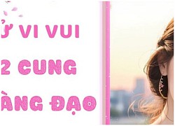 Tử vi vui 12 cung hoàng đạo ngày 11/2: Xử Nữ phát triển, Sư Tử ổn định