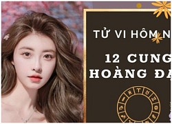 Tử vi vui 12 cung hoàng đạo ngày 13/2: Nhân Mã phát triển, Song Ngư khó khăn