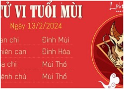 Tử vi hằng ngày - Xem tử vi vui 12 con giáp ngày 13.2.2024