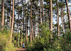 Về làng chài - đi chợ hải sản, đùa vui cùng sóng