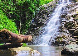 Mùa suối hát trên non