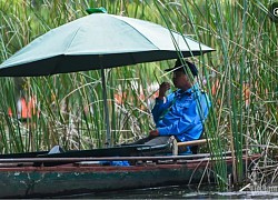 Hàng nghìn du khách đội nắng ngồi thuyền du xuân Tràng An