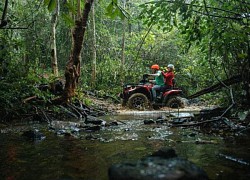 Mở tour khám phá rừng lim