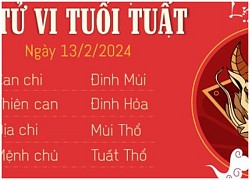 Tử vi 12 con giáp tuần mới 12-18/2: Thìn, Tỵ đường tài lộc hanh thông