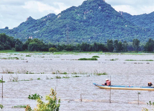 Về miền nước nổi