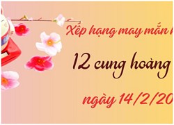 Xếp hạng may mắn của 12 con giáp ngày 14/2/2024: 1 ngày thiếu may mắn của Thân và Tỵ