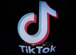 EU tiến hành các thủ tục tố tụng đối với TikTok