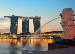 Singapore lên kế hoạch đầu tư 740 triệu USD vào AI