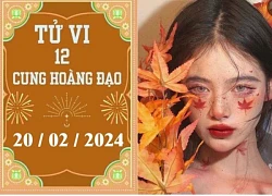 Tử vi vui 12 cung hoàng đạo ngày 20/2: Song Tử chậm trễ, Bảo Bình phát triển