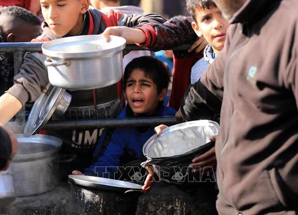 WFP tạm thời ngừng hoạt động nhân đạo tại Gaza