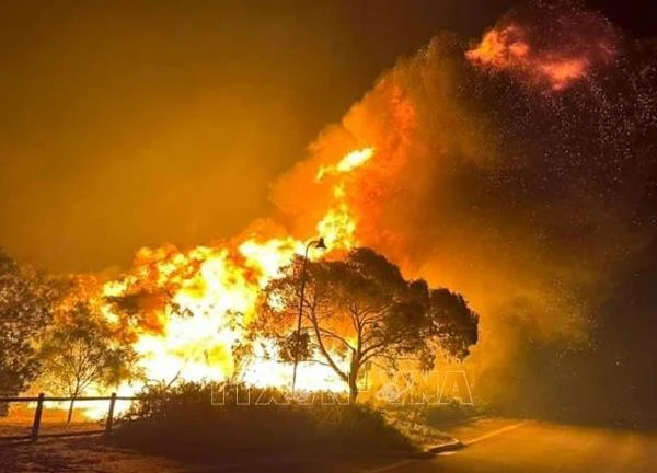 Australia 'gồng mình' đối phó với cháy rừng