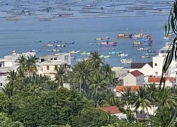 Phú Yên: Vịnh Xuân Đài Điểm ngắm bình minh hấp dẫn nhất Việt Nam