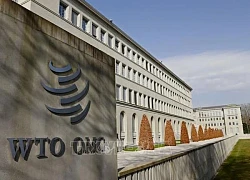 Thay đổi đáng chú ý trong dự thảo về thủy sản của WTO