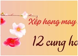 Tử vi 12 cung hoàng đạo 24/2: Thiên Bình, Bảo Bình tình duyên nở hoa