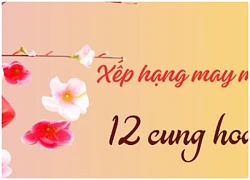 Tử vi vui 12 cung hoàng đạo ngày 23/2: Cự Giải khó khăn, Nhân Mã chậm trễ