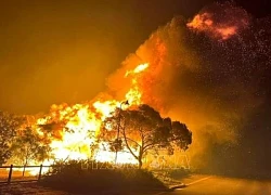 Australia: Cảnh báo nguy cơ cháy rừng lan rộng do nắng nóng cực đoan