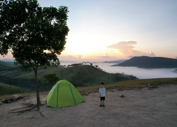 Camping trên đỉnh Phượng Hoàng