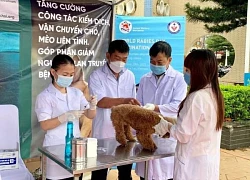 Chư Sê: Một học sinh tử vong sau 2 tháng bị chó cắn