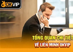 Cơ hội vàng làm việc IT Website có mức lương đỉnh khủng tại OKVIP