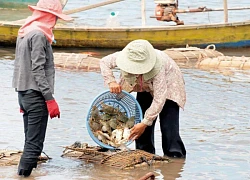 Kep hoang sơ với những hòn đảo mê hồn