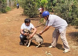 Khó thở khi uống nước, một thanh niên tử vong do bệnh dại