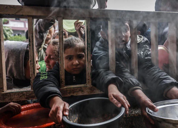 Nạn đói ngày càng nghiêm trọng, người dân Gaza phải ăn thịt ngựa, lá cây để sinh tồn