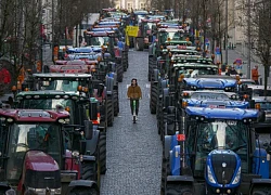 Nông dân tiếp tục lái máy kéo phong tỏa một phần thủ đô Brussels (Bỉ)