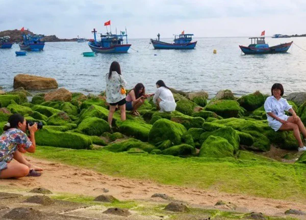 Rêu, rong và bình yên làng chài Nhơn Hải níu chân du khách