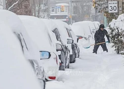 Canada đang trải qua một mùa Đông khác lạ