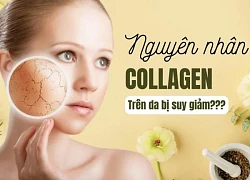 Collagen suy giảm theo tuổi tác bổ sung thế nào?