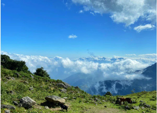 Con thác đẹp hơn tranh vẽ ẩn sâu trong rừng, đường dẫn vào trắc trở không phải ai cũng dám đi