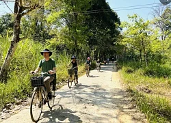 Cuối tuần, nhiều du khách chọn khám phá rừng Nam Cát Tiên