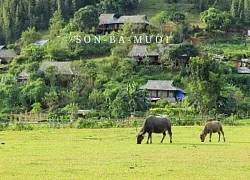 Son - Bá Mười: Điểm du lịch kì thú sau Tết