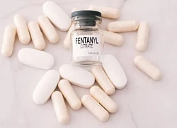 Mexico: Thu giữ 100 tấn tiền chất sản xuất fentanyl