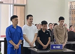 Tổ chức cho khách dùng ma túy, Giám đốc doanh nghiệp lĩnh án 10 năm tù