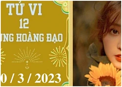 Tử vi vui 12 cung hoàng đạo ngày 30/3: Bảo Bình ổn định, Bạch Dương nóng vội