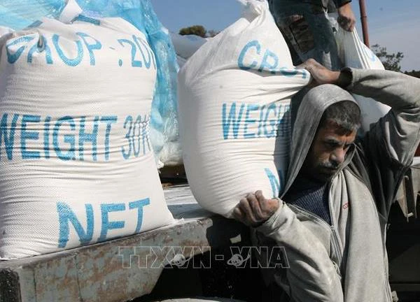 UNRWA hối thúc chuyển hàng viện trợ lương thực tới Gaza