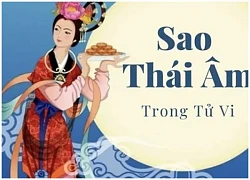 Ý nghĩa Sao Thái Âm tại Cung mệnh và Cung mệnh phu thê