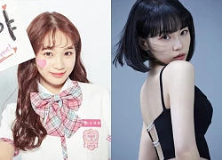 Chaewon: từ thành viên IZ*ONE bị nghi vấn gian lận đến trưởng nhóm LE SSERAFIM