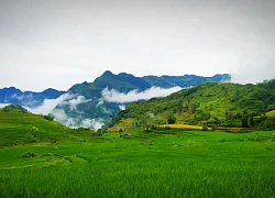 Si Ma Cai đậm đà hương sắc vùng cao