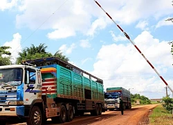 Vụ buôn lậu hơn 6.000kg vàng: Mang vàng khối qua cửa an ninh để lên máy bay